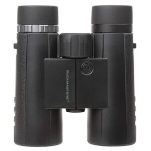 Sig Sauer Buckmasters Binocular, 10x42mm, Black, Tripod Adaptable