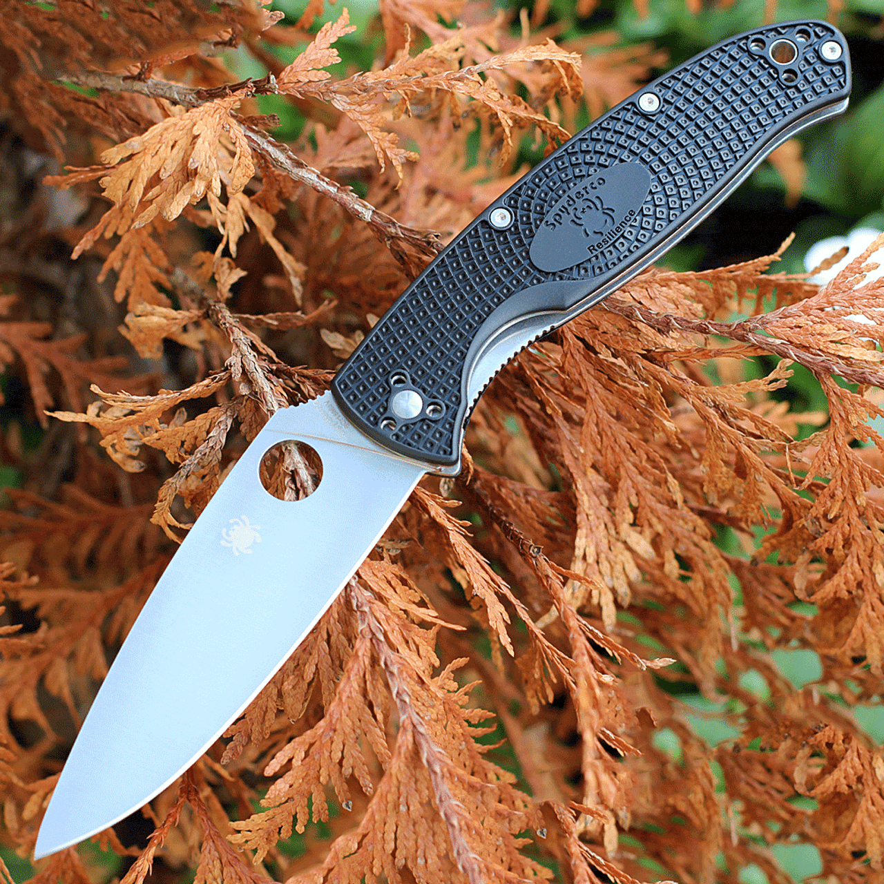 Spyderco Resilience FRN - Image 2