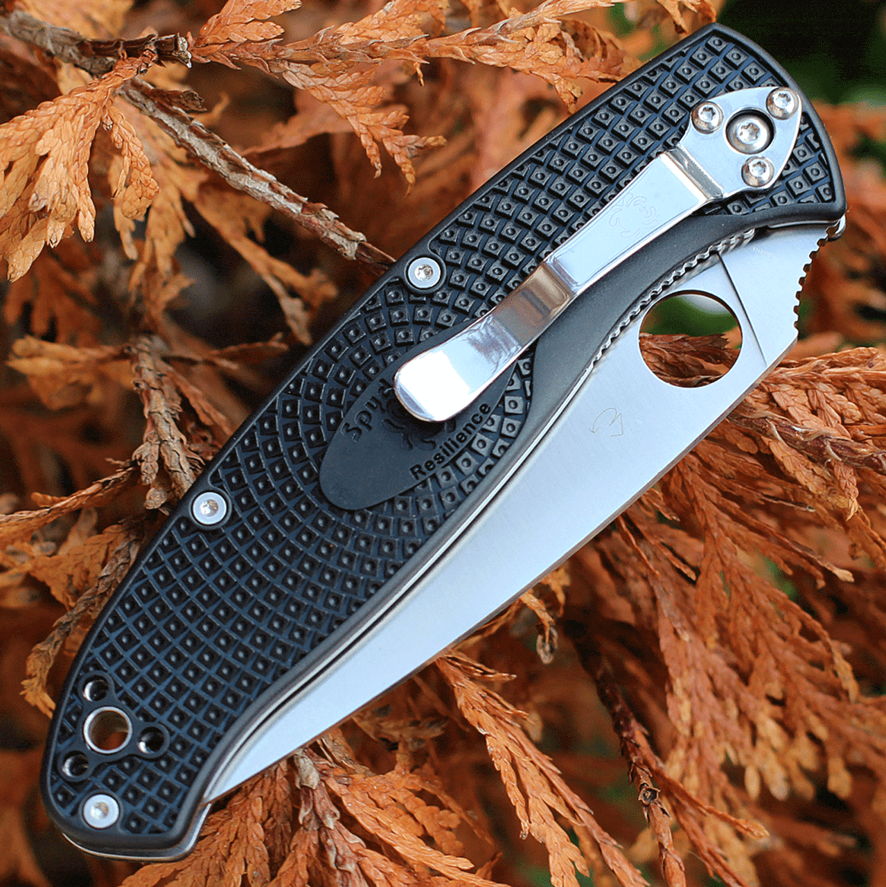 Spyderco Resilience FRN - Image 3