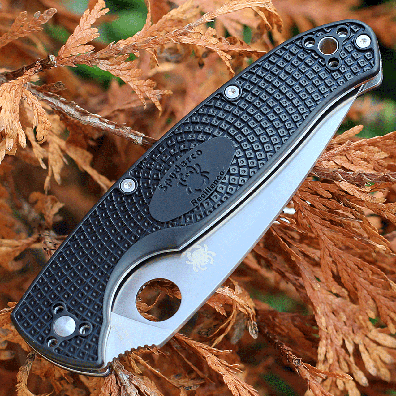 Spyderco Resilience FRN - Image 4