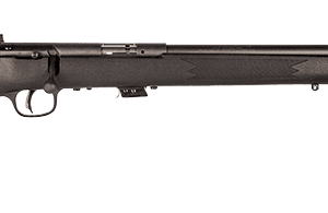 SAVAGE ARMS MARK II BOLT 22LR BL/SYN TARG