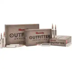 HORNADY CX OUTFITTER 300WBY MAG 180G CX 20RD BX 200RD CASE