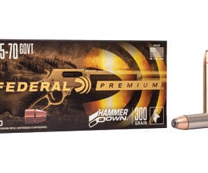 FED HMR DWN 45-70GVT 300GR SP 20/200