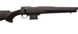 HTI STOCK MAG KIT .223 REM 10+1 22IN BBL BLK THREADED