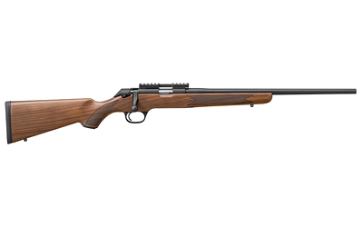 SPRGFLD 2020 RIMFIRE TRGT 22LR GRDA - Image 2