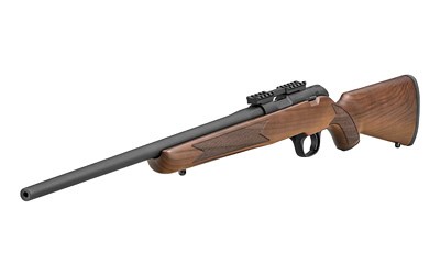SPRGFLD 2020 RIMFIRE TRGT 22LR GRDA - Image 3