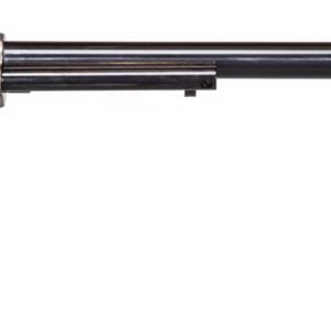 HERITAGE MANUFACTURING 22LR/22M WYATT EARP CCH 12"  #