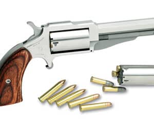 NAA "EARL" 1860 22LR/WMR 3" 5RD