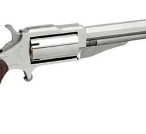 NORTH AMERICAN ARMS THE EARL 22LR/22MAG 4" SS 5SH#