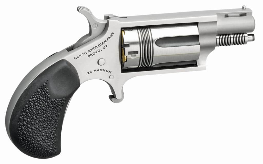 NORTH AMERICAN ARMS THE WASP 22MAG REV 1-1/8" SS