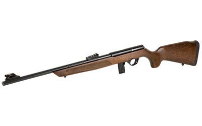ROSSI RB 22LR 18" 10RD WOOD - Image 3