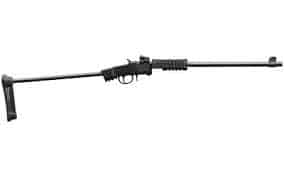 CHIAPPA LITTLE BADGER T/D EXTREME 22LR RFL W/TUBE