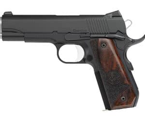 DW GUARDIAN 9MM 4.25" BBTL 9RD BLK