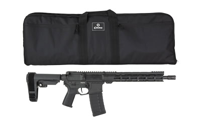 CMMG BNSHE MK4 5.56 12.5" PB 30RD AB - Image 4