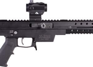 EXCEL X22R RIFLE 22LR 10RD - 16" BLACK WITH RED DOT SIGHT