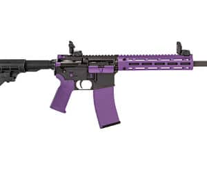 TIPPMANN M4-22 ACCENT 22LR 25RD PRP